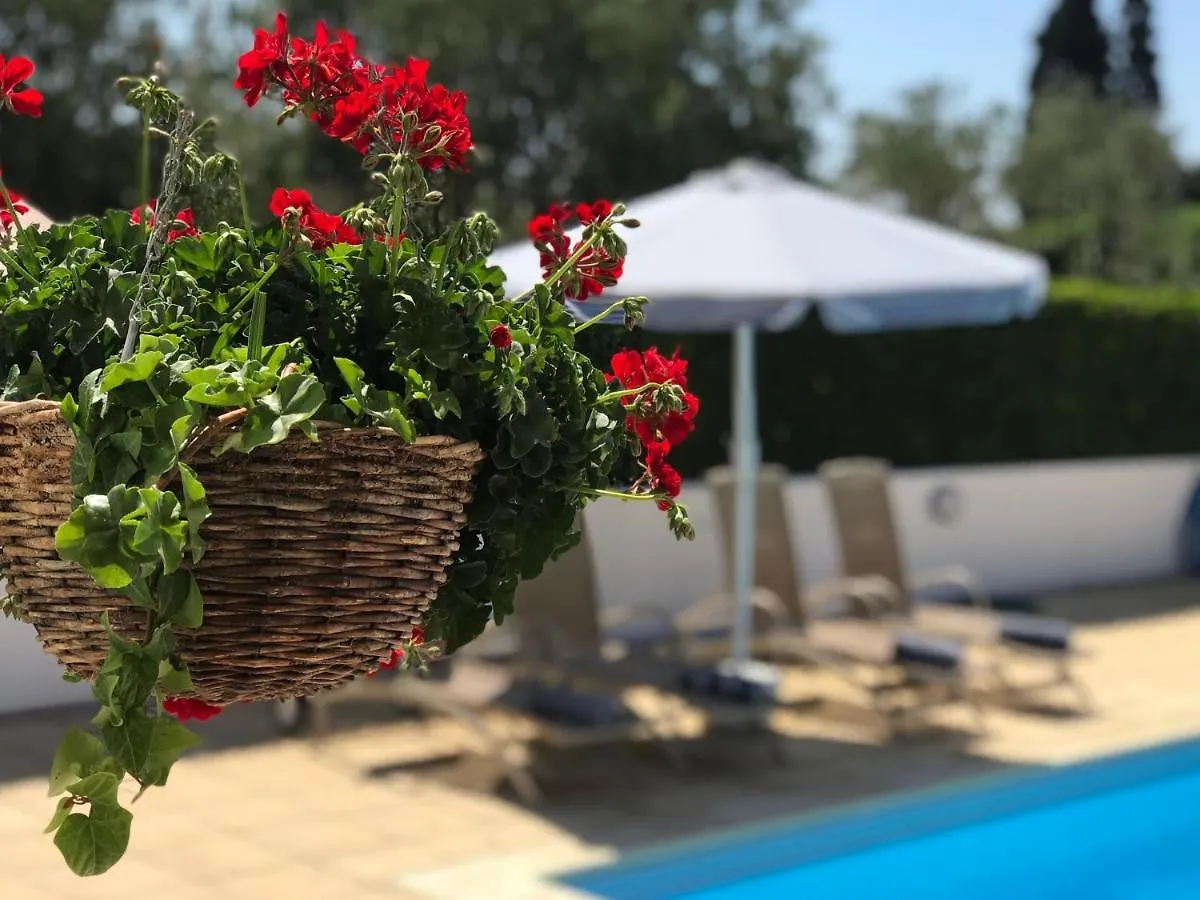 Villa Elia Bed And Breakfast Kiti Chypre